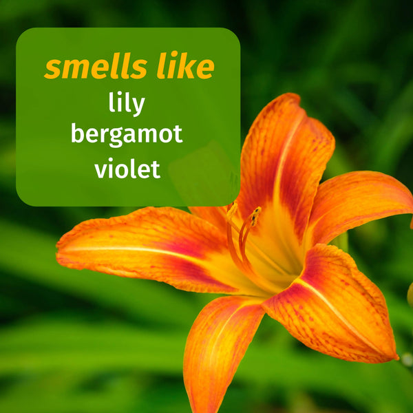 tiger lily smell Tiger Lily Body Moisturizer