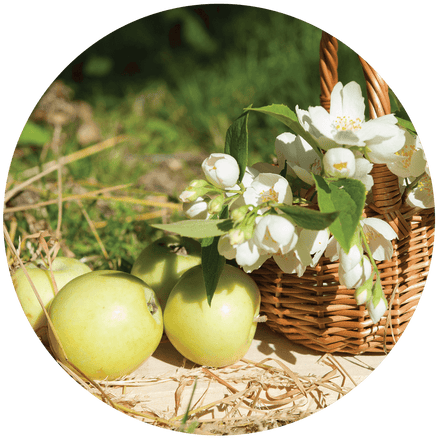 Basket of jasmine with apple in a field