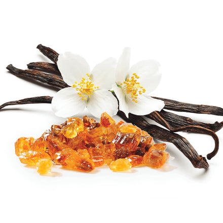 Vanilla bean with amber