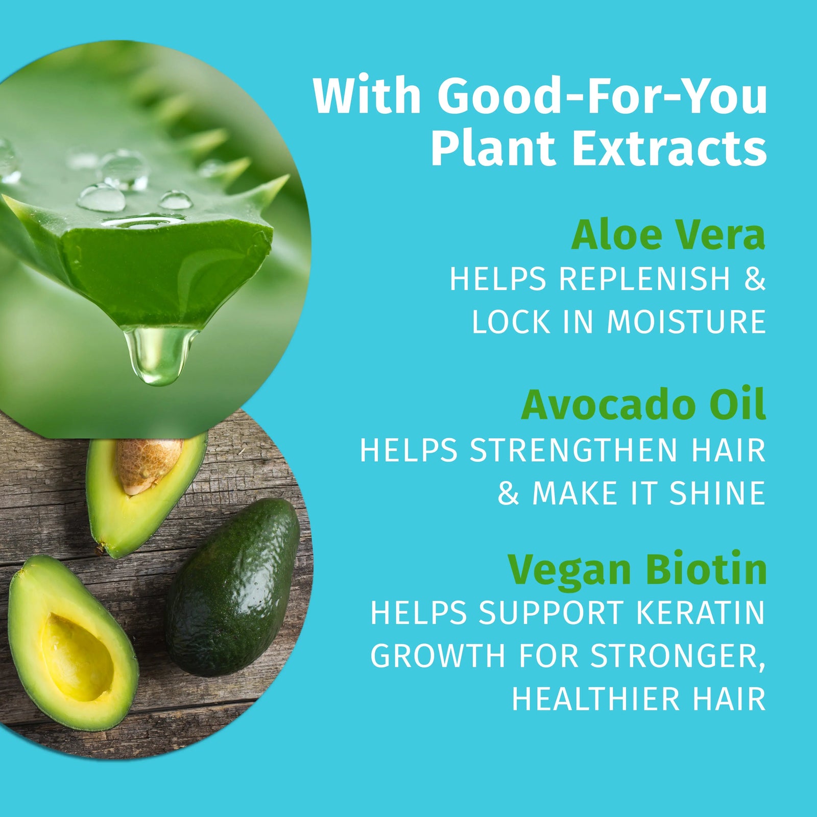 aloe vera plant for hair benefits Hempz Travel-Size Original Floral Banana Herbal Conditioner enriched with Vegan Biotin for All Hair Types